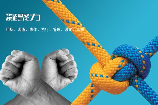 團隊凝聚力拓展